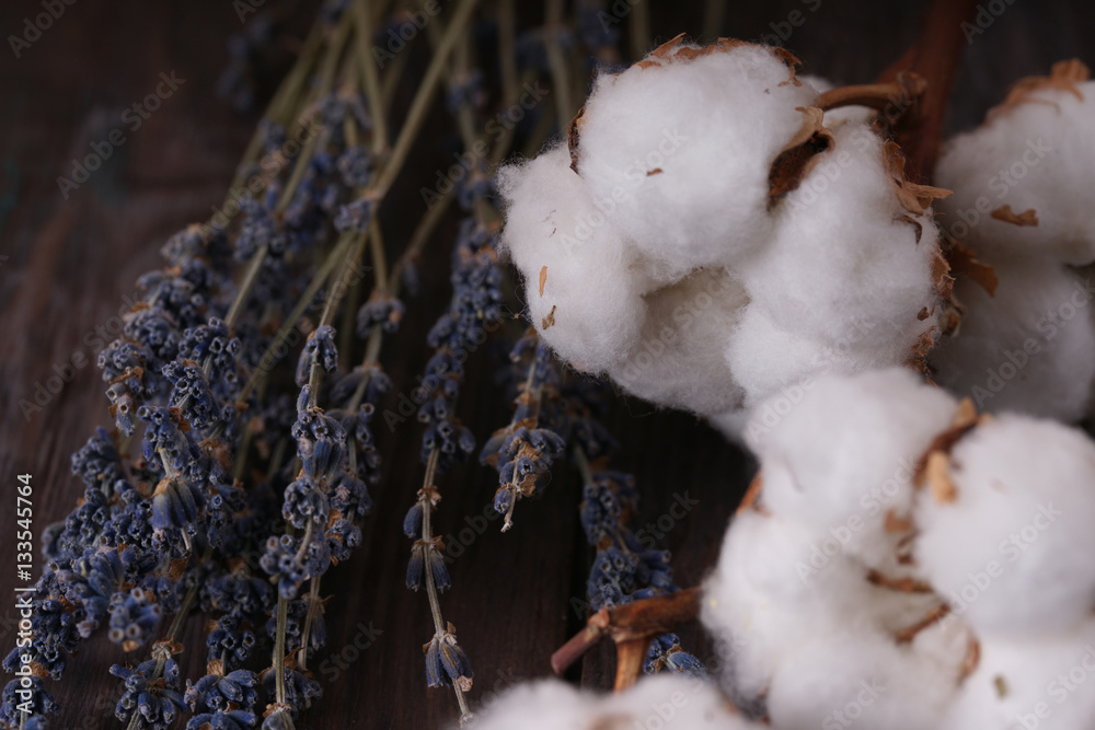 cotton and lavender on wodden table cotton and lavender on wodden table