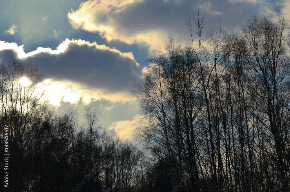 Obraz premium The landscape