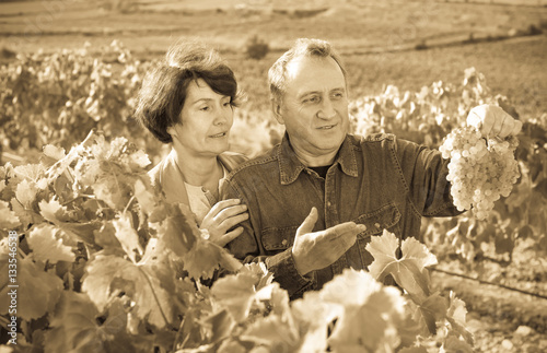 Family of elderly wine makers on vineyard