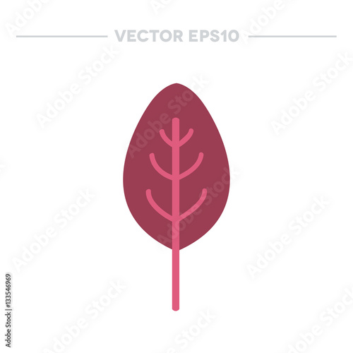 basil flat icon. vector illustration