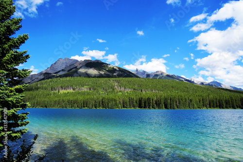 A part of a crystal clear lake. Banff, Alberta, Canada.