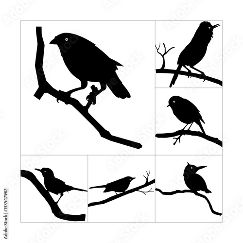 A Bird Perched On a Branch Vector Silhouette Set