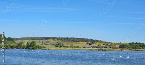 Blick auf den Dornbusch mit dem Leuchtturm auf der Insel Hiddensee,Ostsee,Mecklenburg-Vorpommern,Deutschland