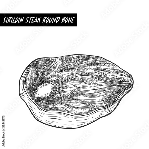 siriloin steak round bone sketch by hand drawing.siriloin steak round bone vector on white background