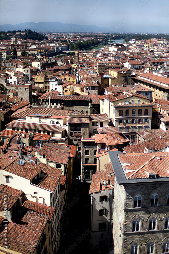 The roofs of the houses in Florence