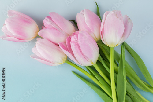Gorgeous tulips for holidays.