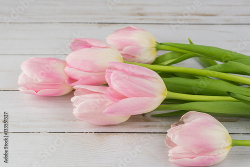 Fototapeta Naklejka Na Ścianę i Meble -  Gorgeous tulips for holidays.