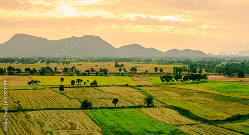 Rice field with mountain in sunset time.