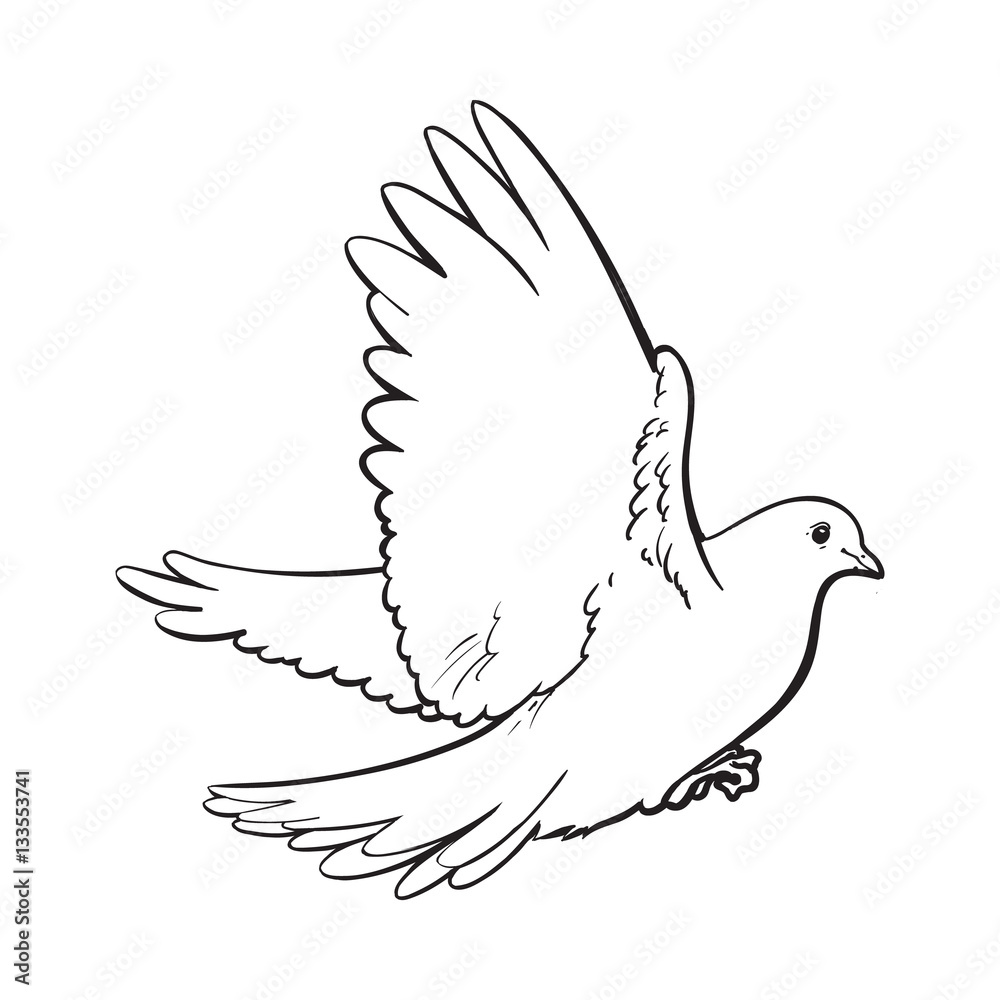 Peace dove-1625609077 | Free SVG