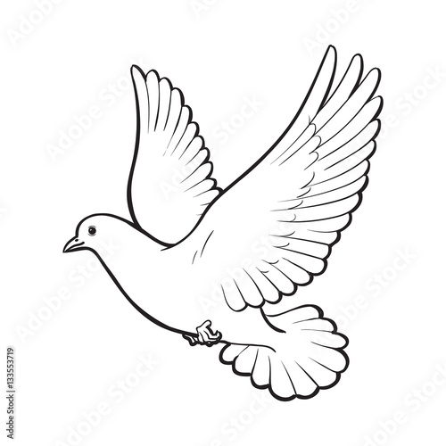 Free flying white dove, sketch style vector illustration isolated on white background. Realistic hand drawing of white dove, pigeon flapping wings, symbol of love, romance and innocence, marriage icon