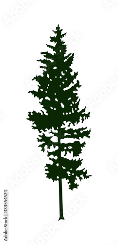 Silhouette of pine  tree  fir  . Can be used as poster  badge  emblem  banner  icon  sign  decor.