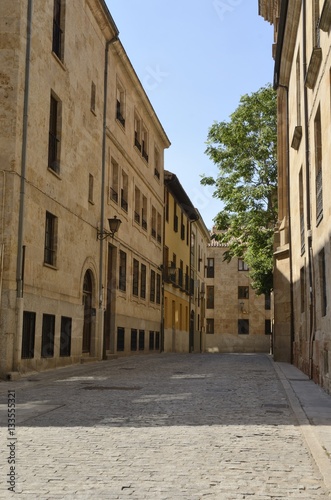 Street in the historical part of the city in Salamanca, Spain © monysasi