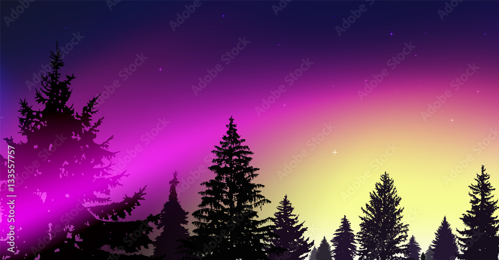 Silhouette of coniferous trees on the background of colorful sky.  Night. Northern lights. Pink and yellow tones.