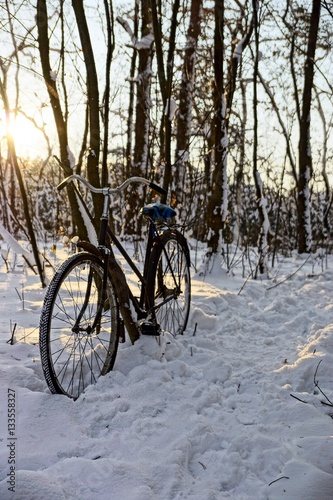 Велосипед в зимнем лесу © butus