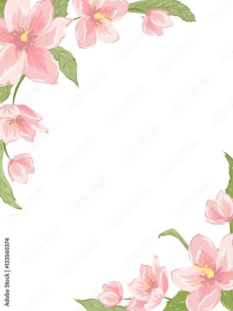 Naklejka premium Szablon ramki rogu z ciemiernika Sakura magnolia kwiaty na białym tle. Pionowa orientacja pionowa. Wektor wzór kwiatowy element girlandy do dekoracji, karty, zaproszenia.