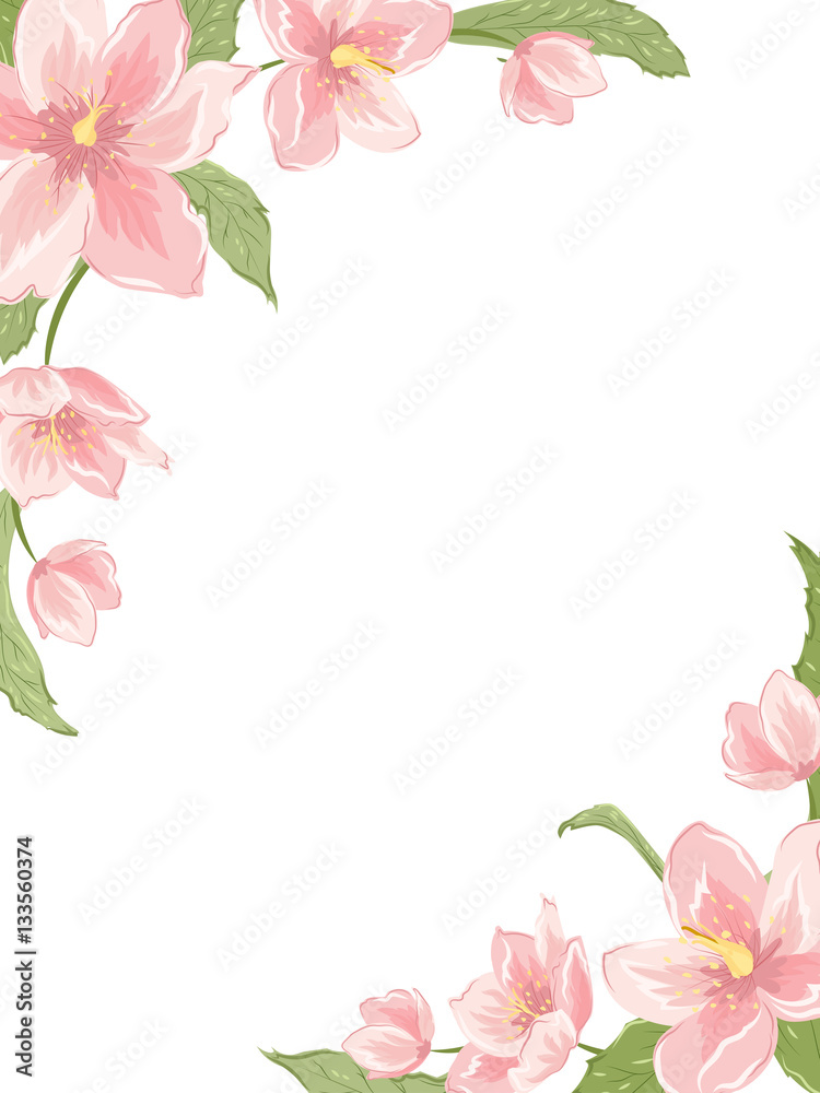 Corner frame template with sakura magnolia hellebore flowers on white  background. Vertical portrait orientation. Vector design illustration floral  garland element for decoration, card, invitation. Stock Vector | Adobe Stock