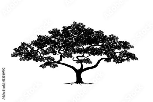 silhouette tree set