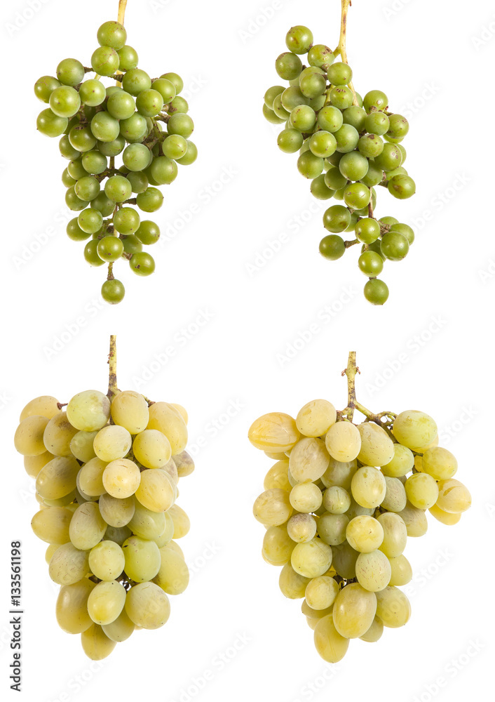 Bunch of ripe yellow grapes. isolated on white background Bunch of ripe yellow grapes. isolated on white background