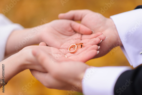 Hands of bride and groom with their rings