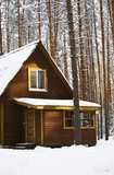 Small cottage in a winter forest