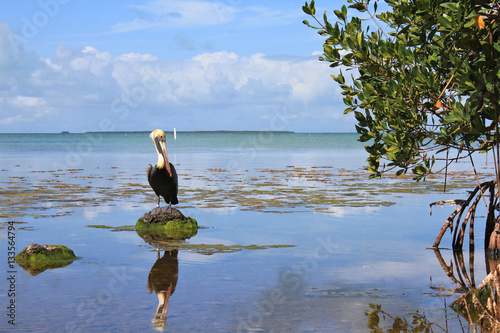 Foto Everglades National Park