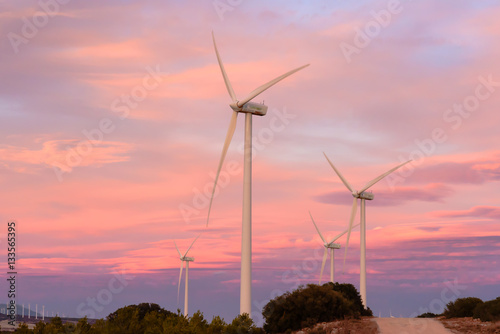 Wind energy park at sunset III photo