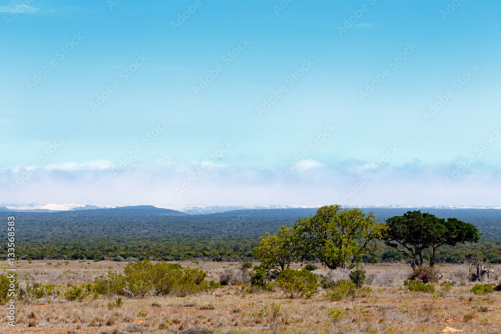 Addo Landscape with clouds