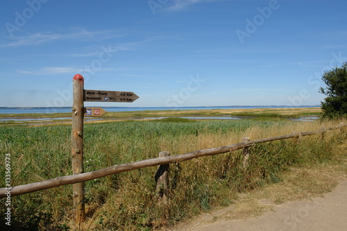 Naturschutzgebiet Geltinger Birk an der Ostsee in Norddeutschland photo