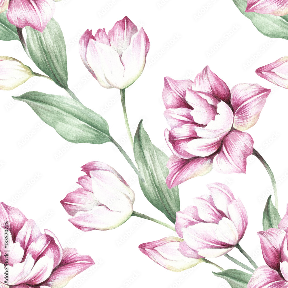 Seamless pattern with tulips. Hand draw watercolor illustration