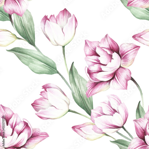 Seamless pattern with tulips. Hand draw watercolor illustration