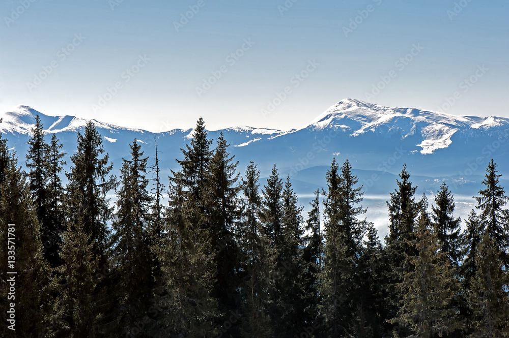 Carpathian mountains panoramic view