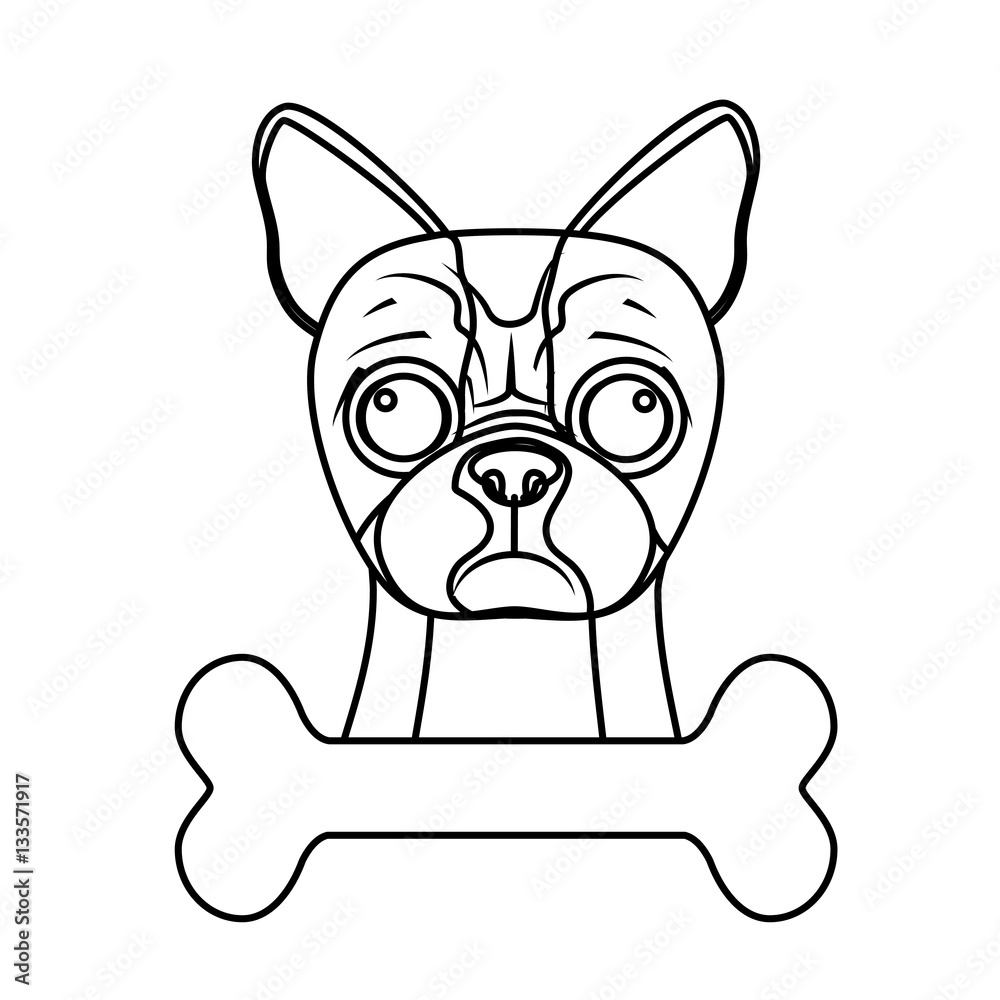boston terrier dog breed emblem icon image vector illustration design boston terrier dog breed emblem icon image vector illustration design