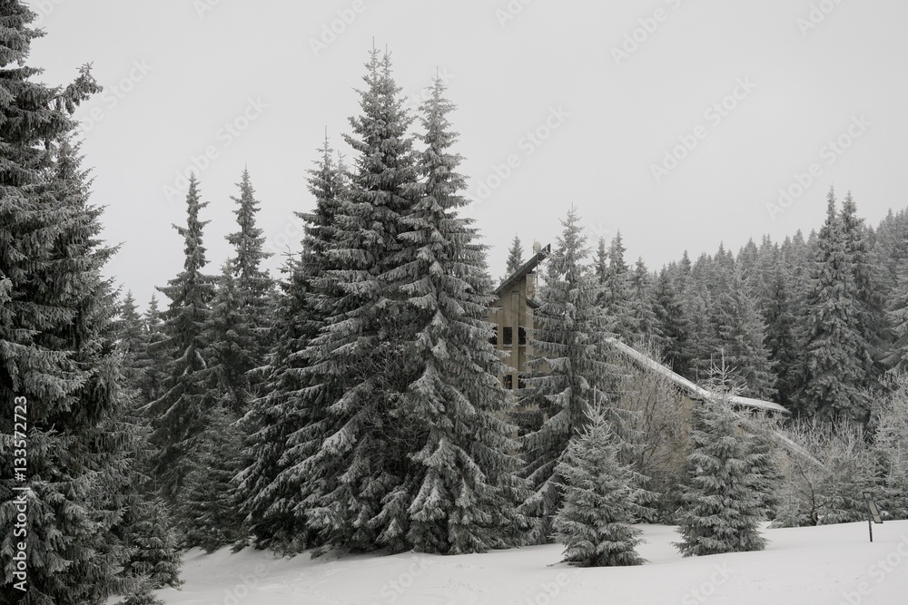Obraz premium Nature under the snow during winter. Slovakia