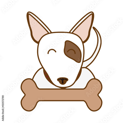 bull terrier dog icon over white background. colorful design. vector illustration
