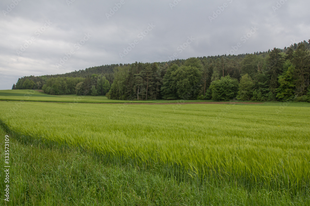 spring in bavaria