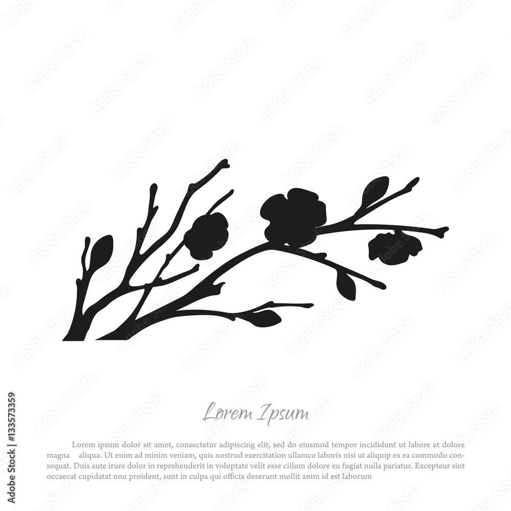 Naklejka premium Black silhouette of sakura branches on a white background. Bloom