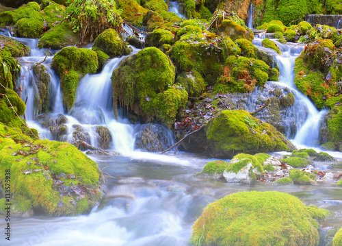 Mountain stream among the mossy stones