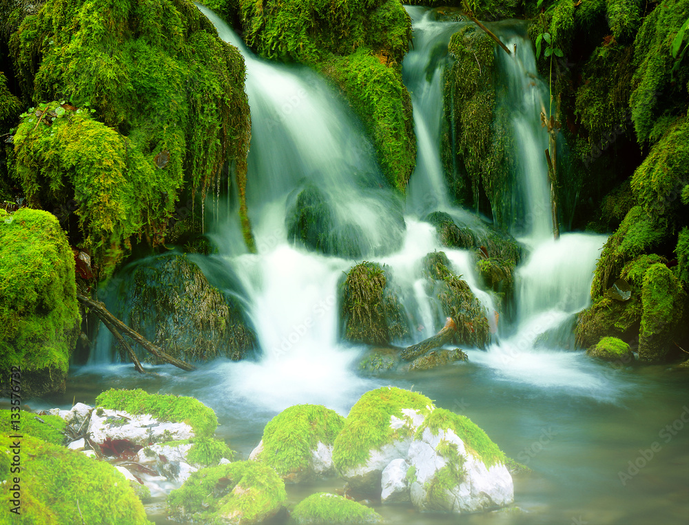Mountain stream among the mossy stones Mountain stream among the mossy stones