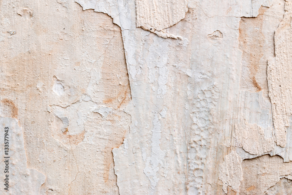 Obraz premium white concrete wall texture