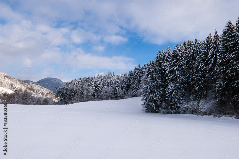 Schwarzwald im Winter
