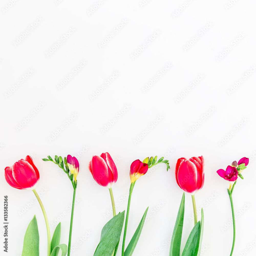 Flowers isolated on white background. Flat lay, Top view.