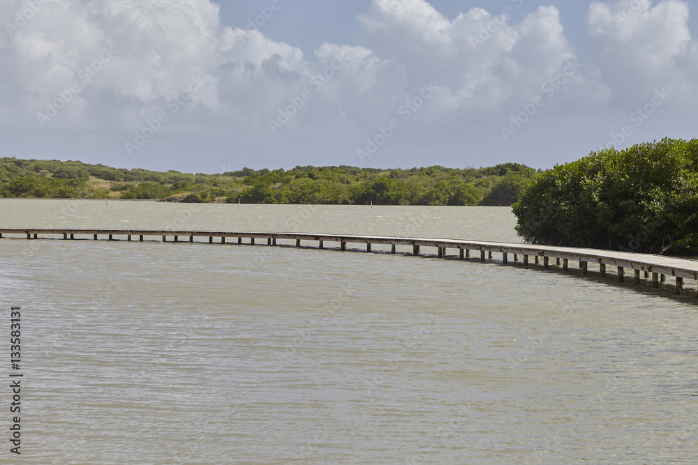 Holzbrücke über einem Salzsee im Vogel Reservoir