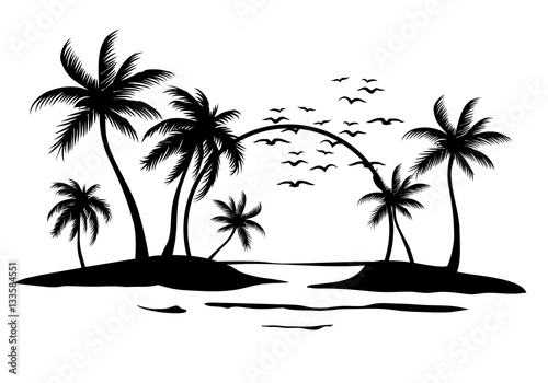 Sonnenuntergang im paradisischen Strand mit Vögeln und palmen