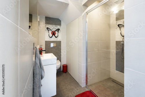 Modern bathroom with a shower