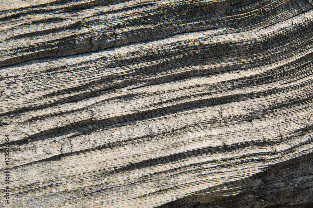 Close up of bristlecone pine wood in the White Mountains Close up of bristlecone pine wood in the White Mountains