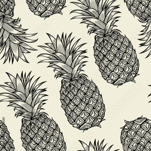 pineapples hand drawn sketch.