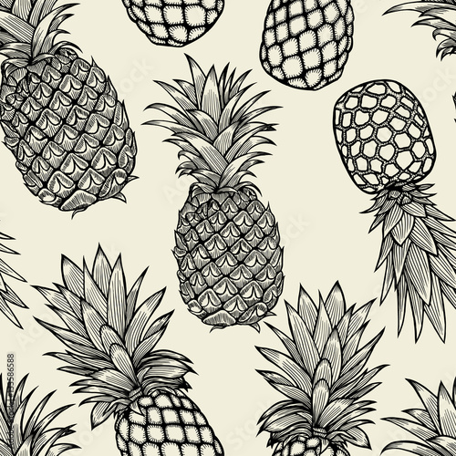 pineapples hand drawn sketch.