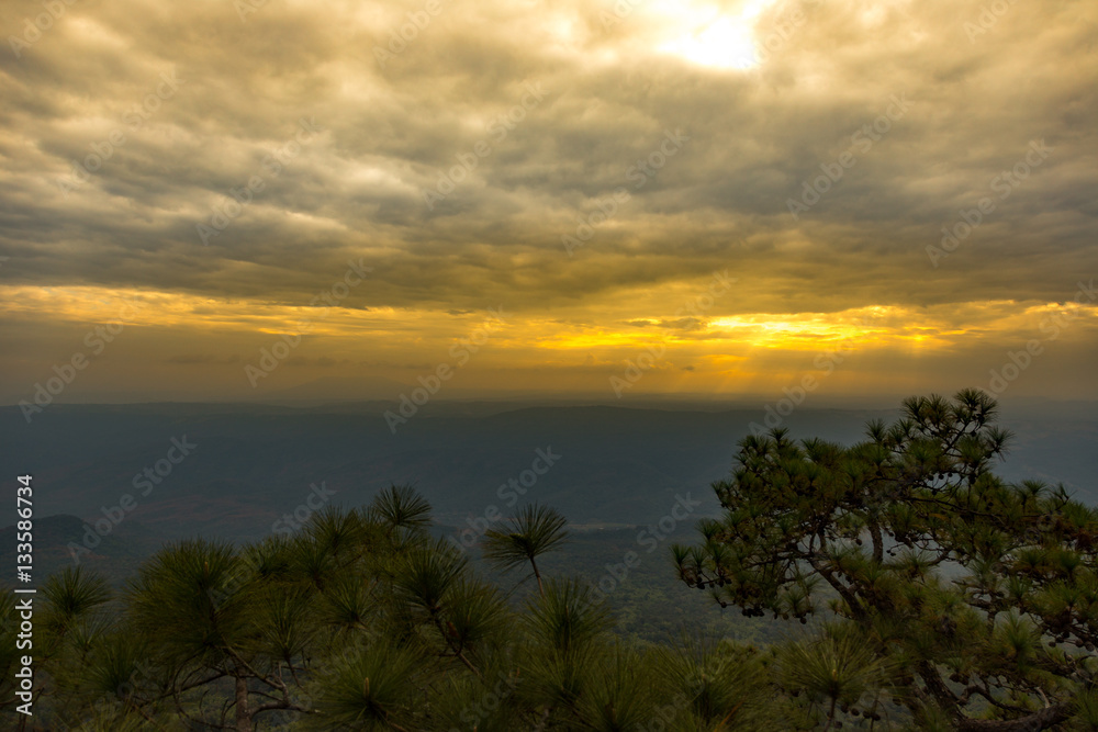 Landscape of Phukradung national park of Thailand