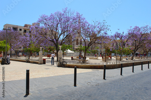 Plaza de la Merced, Málaga, Andalucía, España
