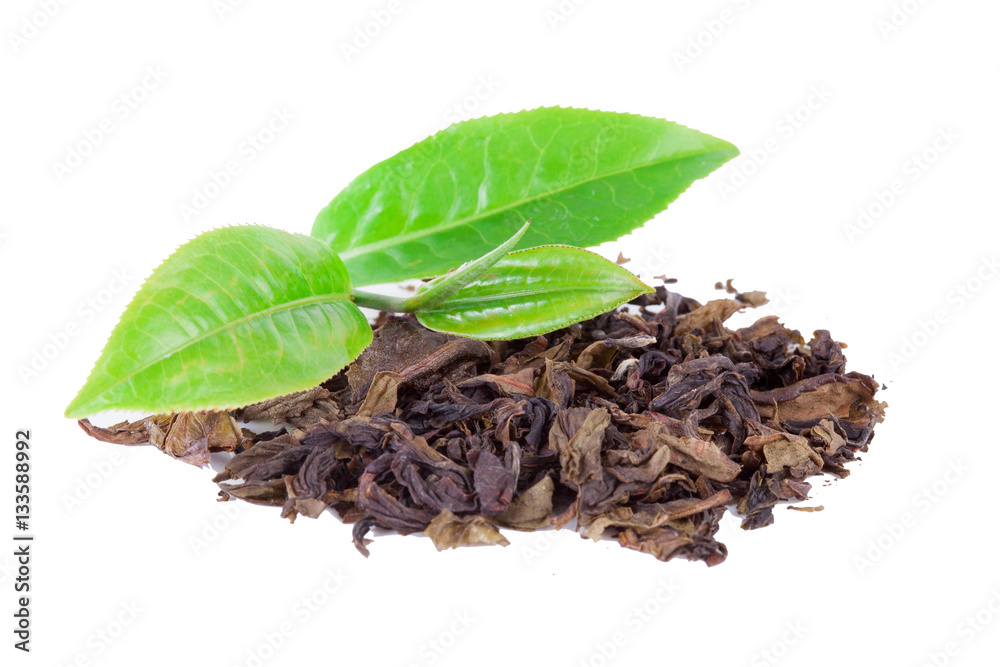 green tea leaf isolated on white background green tea leaf isolated on white background